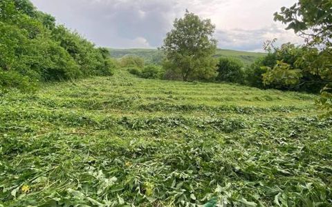 Teren 2200 mp, în Rădaia, com Baciu