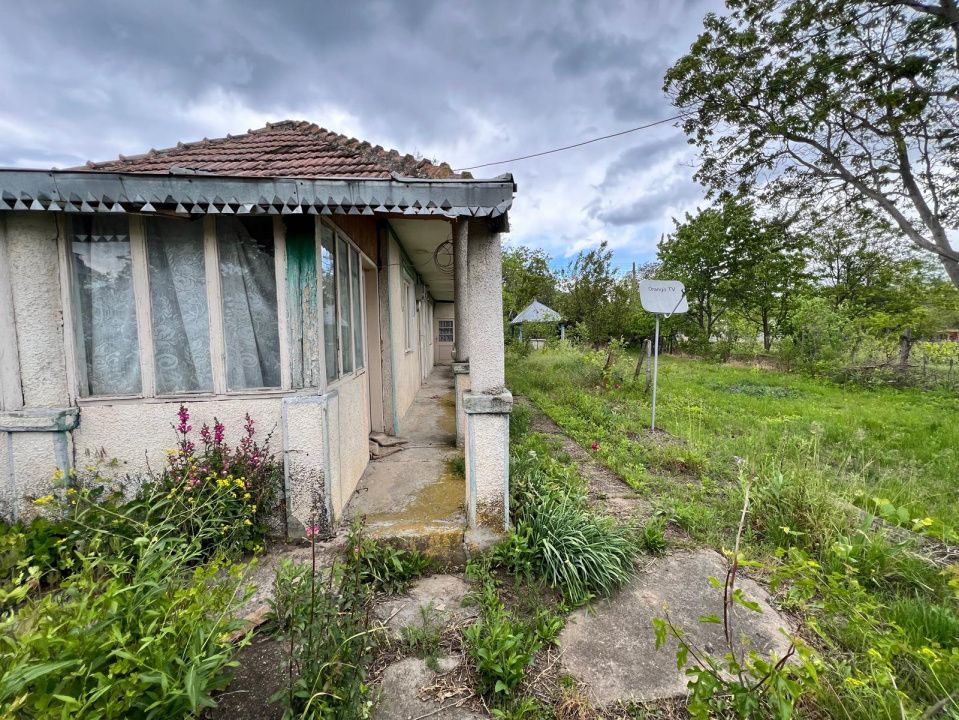 Casă + teren 4430 mp, vie și pomi fructiferi, 22 km de Tecuci – fotografia 20 din 36
