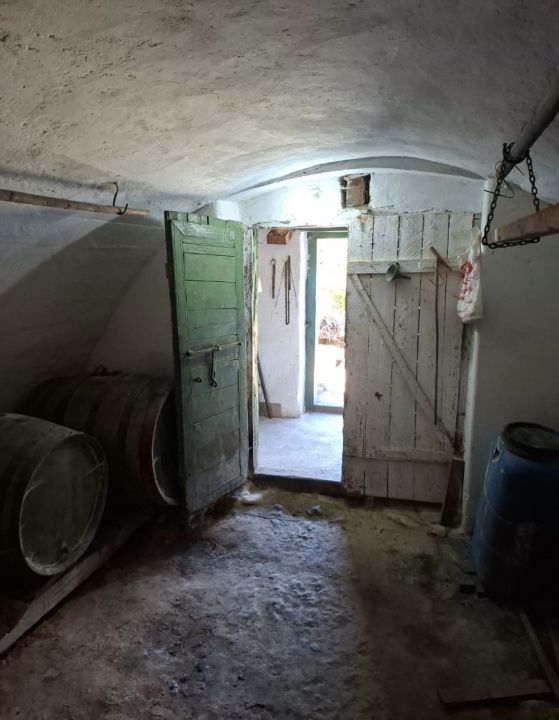 Casă în Cricău cu 1.375 mp teren, anexe, utilități, vie și livadă - Oportunitate – fotografia 33 din 54