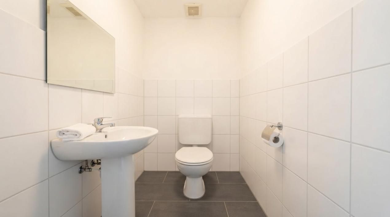 Spatiu comercial de inchiriat | Titulescu stradal | 56mp + 64mp = 120mp – fotografia 15 din 17