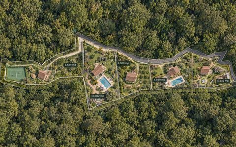 Teren intravilan 37882 mp Pietrarie - Bârnova, cadru natural lângă pădure