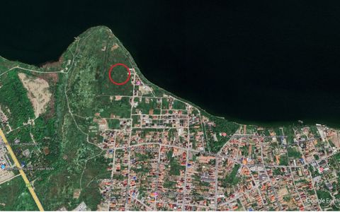 Vanzari terenuri in Palazu Mare zona Lac Siutghiol