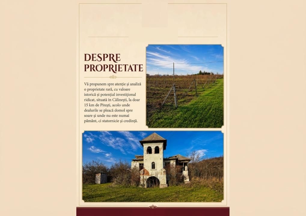 Domeniu viticol 5,5 ha, Conac boieresc | Călinești, Argeș – fotografia 1 din 4