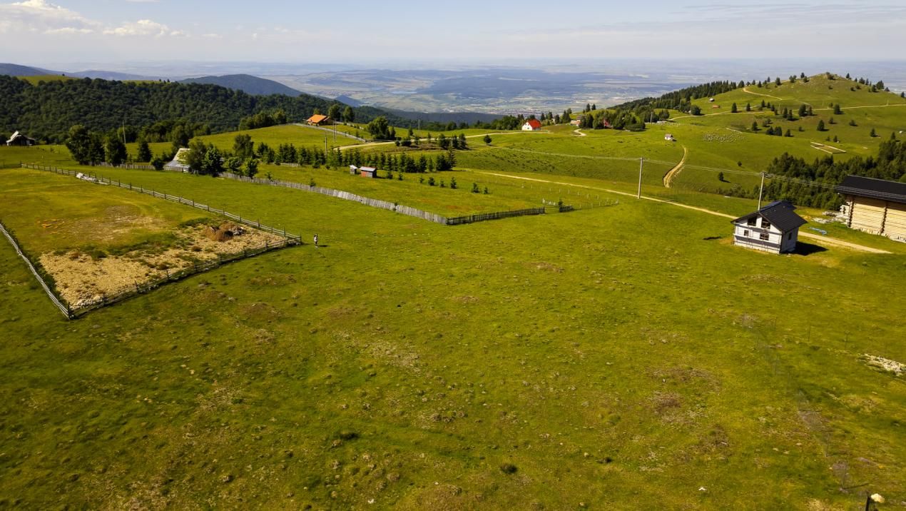Teren 1003 mp în Păltiniș | Priveliște panoramică către munți – fotografia 3 din 4