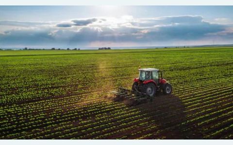 Teren agricol extravilan de vânzare – 22.960 mp – Măreș, Albota, Argeș
