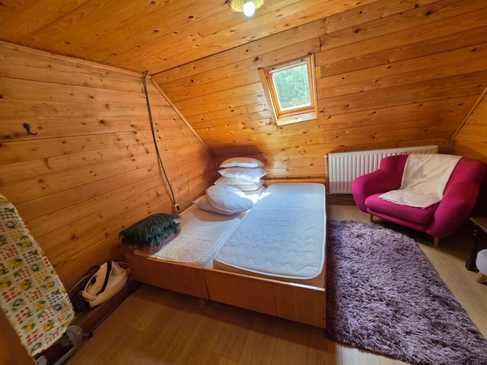 🏡 PROPRIETATE EXTRAORDINARĂ– LOTRIOARA, JUDEȚUL SIBIU! 🌲 – fotografia 34 din 72