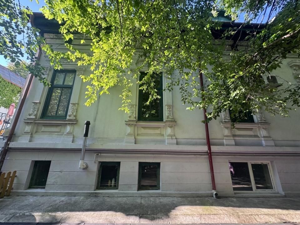Proprietate unica la Grădina Icoanei – fotografia 6 din 24