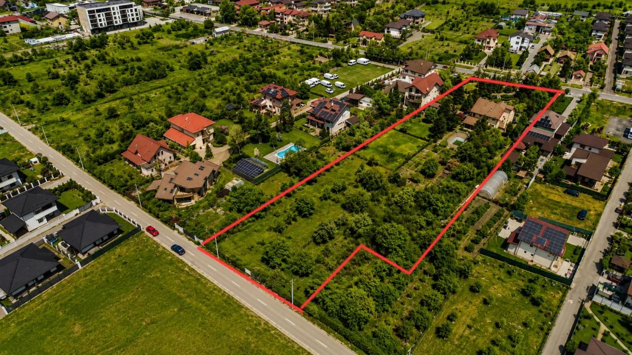 Oportunitate Rară în Ciorogârla– 8.000 mp Teren | Dublu Acces Asfaltat – fotografia 2 din 23