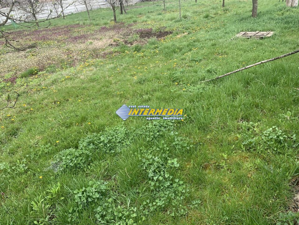 Teren intravilan cu utilitati in cartierul Cetate 946 mp Alba Iulia – fotografia 2 din 4