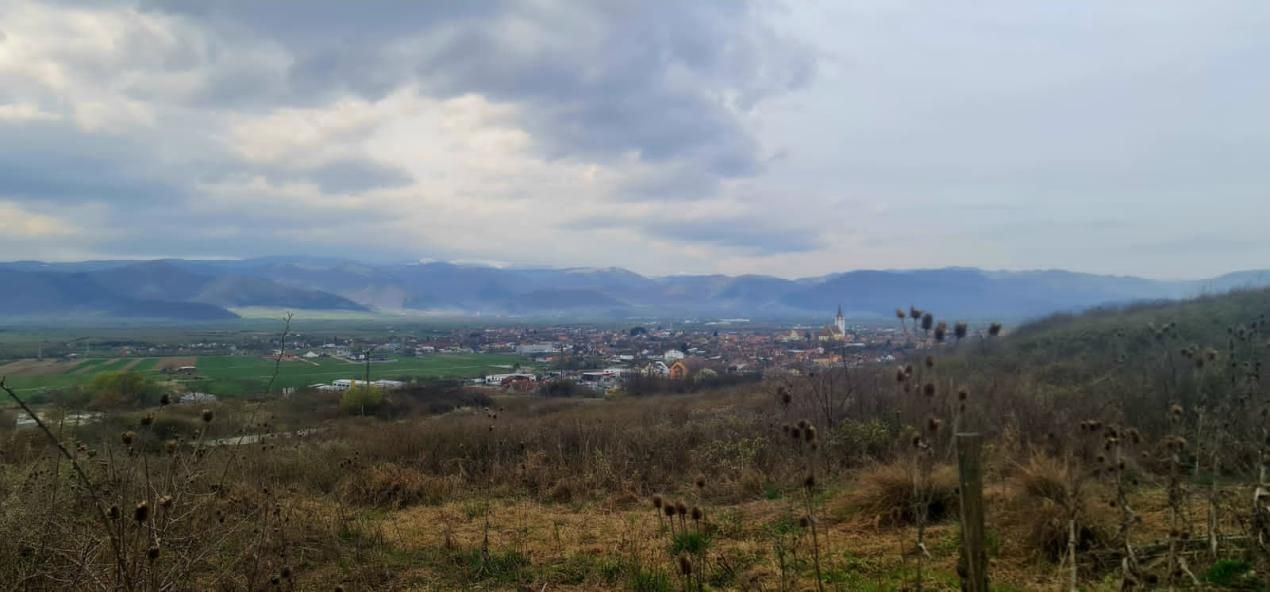 Apartament 3 camere, două băi, curte 50 mp -Natura la tine acasă! Cristian-SiBiU – fotografia 25 din 30