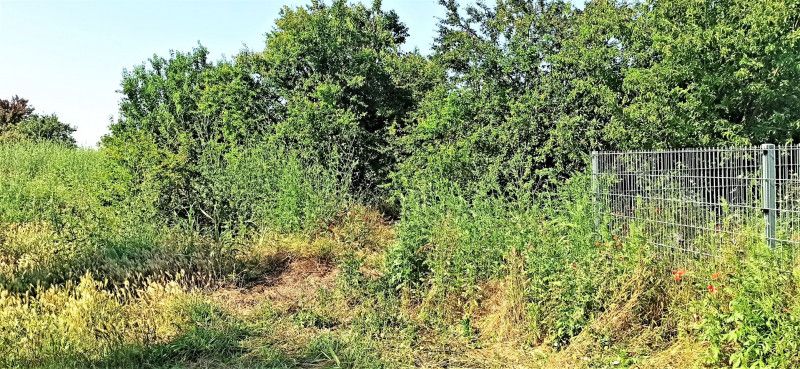 Teren intravilan Ro-Ro Agigea – fotografia 4 din 4