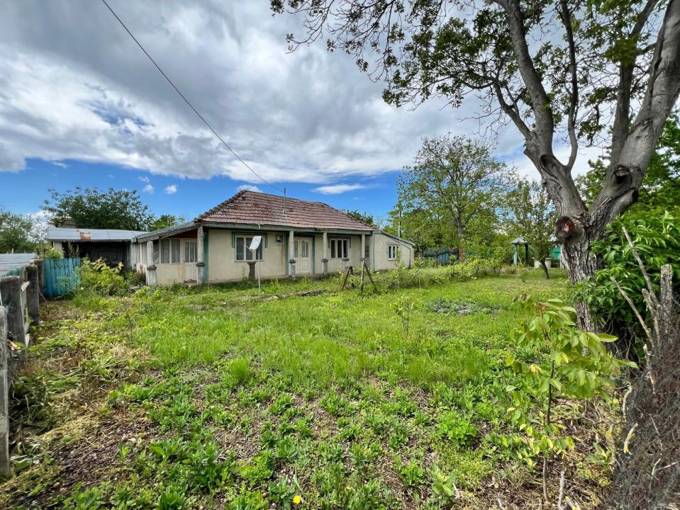 Casă + teren 4430 mp, vie și pomi fructiferi, 22 km de Tecuci – fotografia 32 din 36
