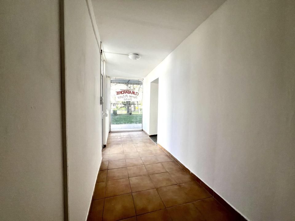 Spatiu comercial de inchiriat, 40 mp utili - Zona Lipovei – fotografia 4 din 5