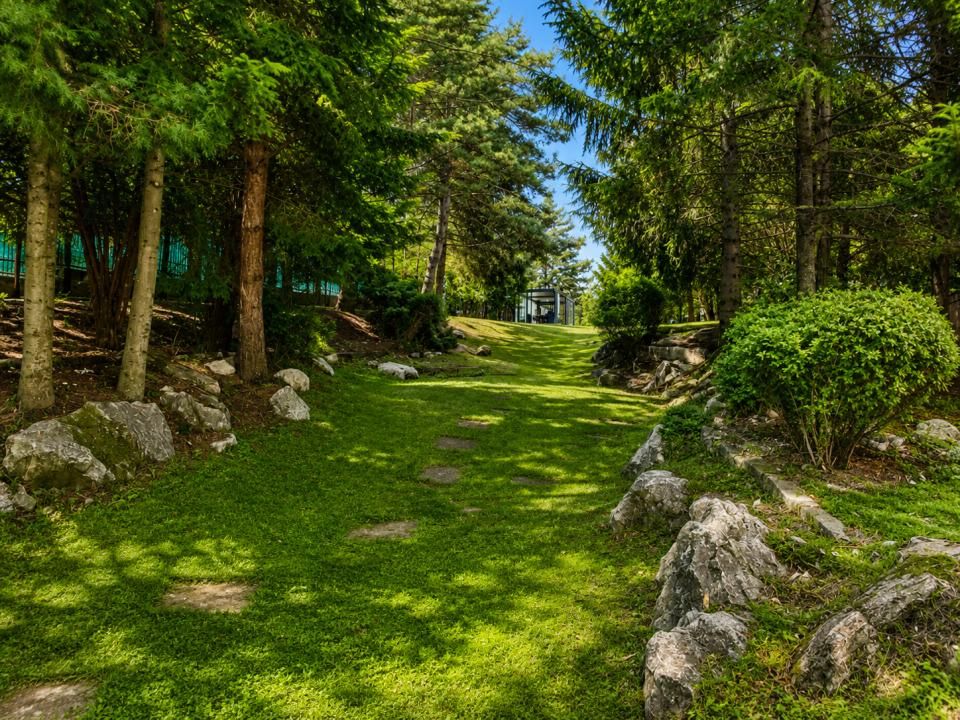 Lakefront Estate | 3.000 mp Teren | Ponton Privat | Snagov – fotografia 24 din 27
