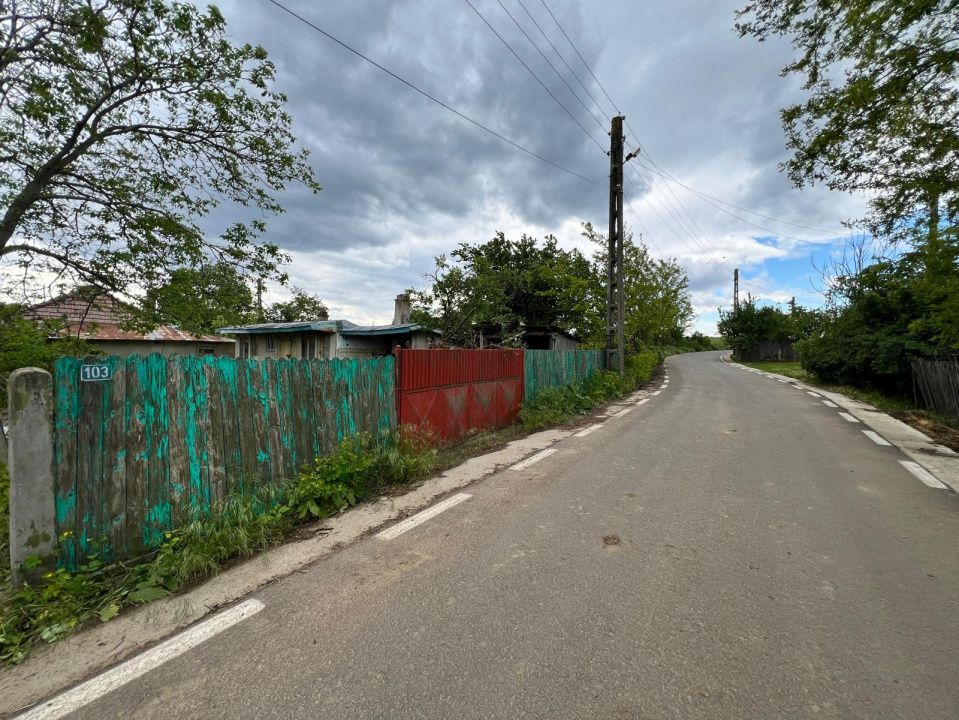 Casă + teren 4430 mp, vie și pomi fructiferi, 22 km de Tecuci – fotografia 2 din 36