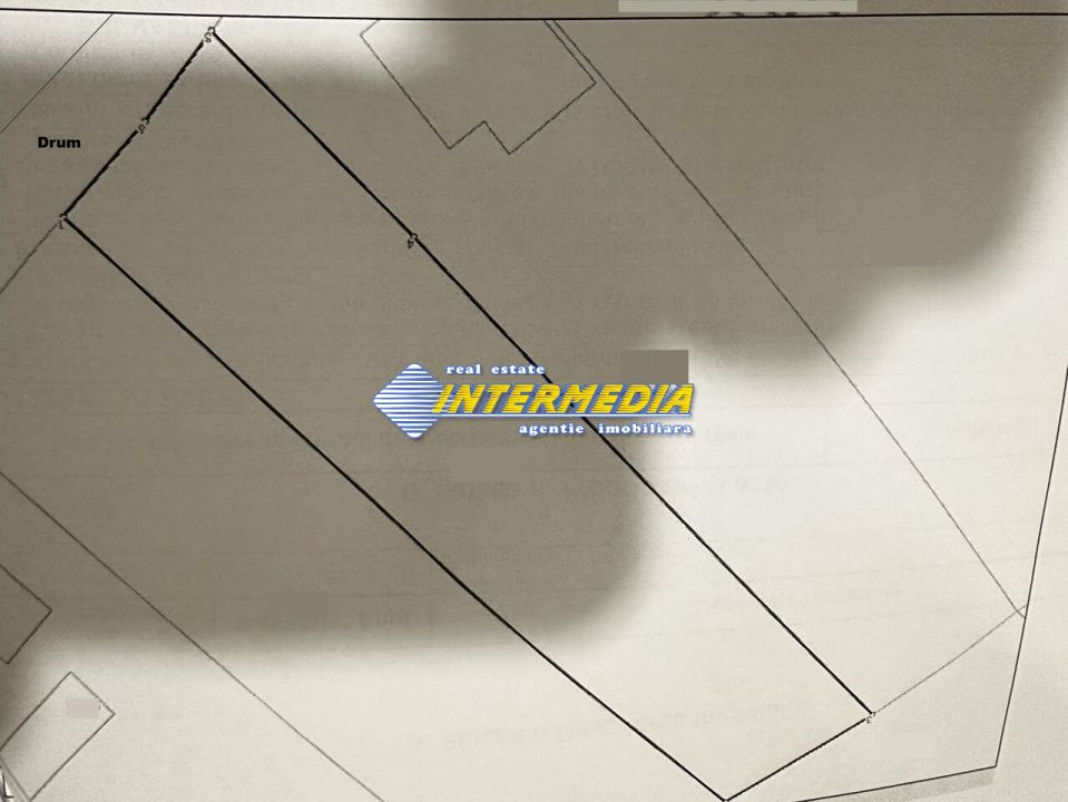 Teren intravilan Sard 1150 mp la asfalt cu toate utilitatile – fotografia 2 din 5
