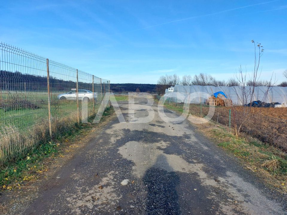 Teren intravilan 1687 mp pentru cabana zona de gradini Cisnadie – fotografia 2 din 7