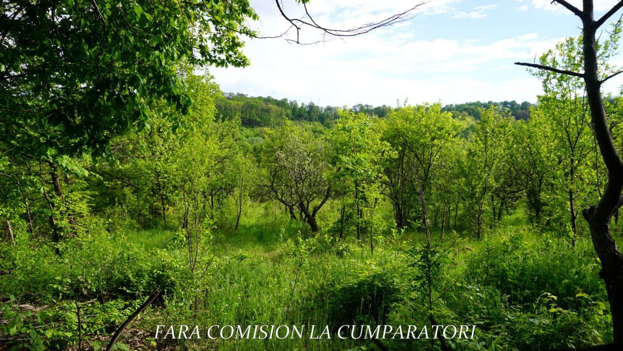 ZONA SUPERBA - TERENURI DE VANZARE – fotografia 11 din 27