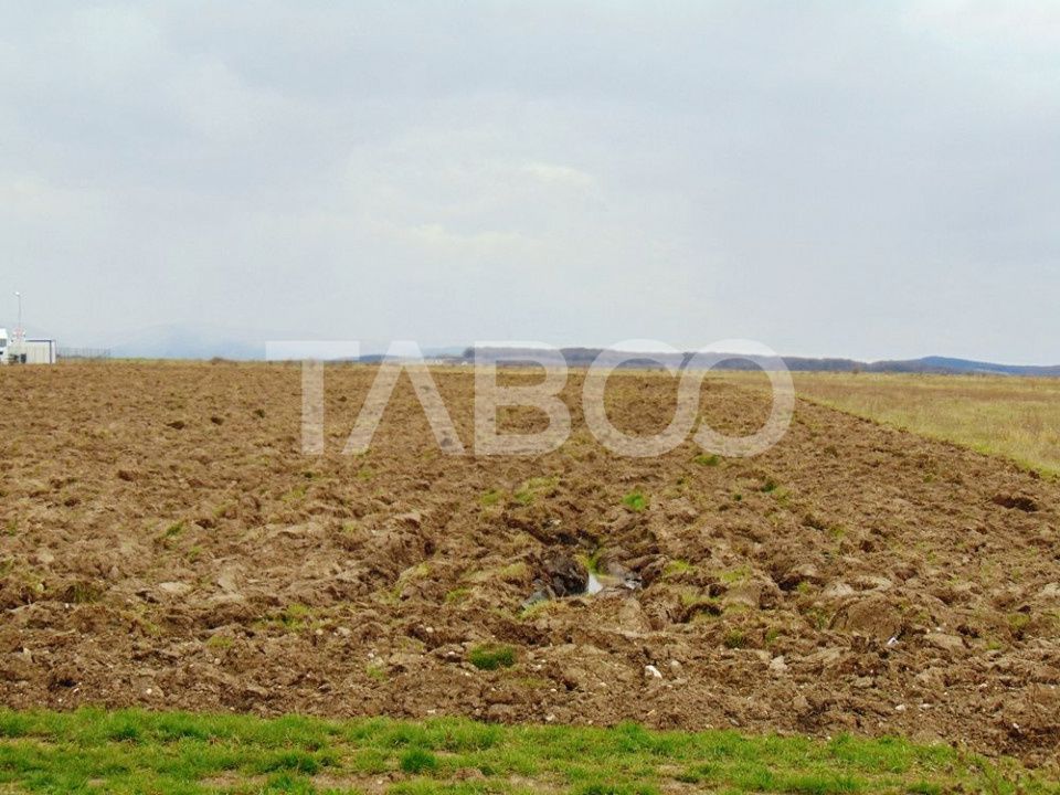 Teren intravilan 2 ha deschidere drum zona Industriala Vest Sibiu – fotografia 6 din 7