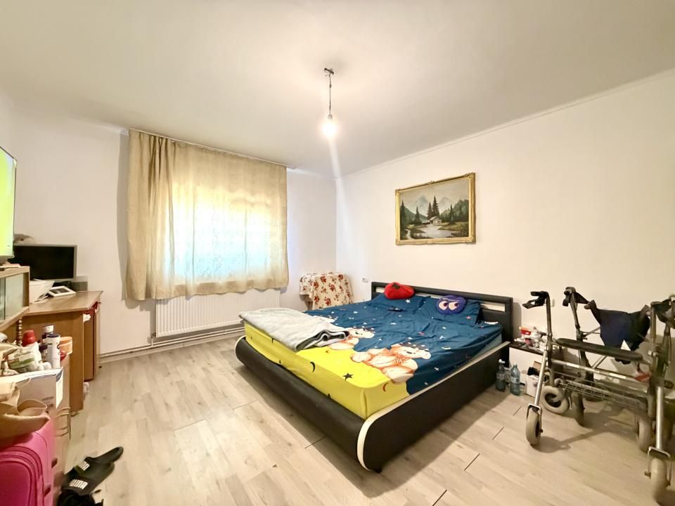 Casa individuala, 6 camere, 190 mp utili, 650 mp teren - Sanandrei – fotografia 1 din 10