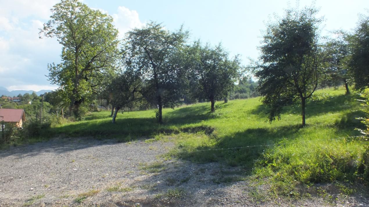Teren Bran Sohodol , o zona de vis, o priveliste unica spre Bucegi! – fotografia 15 din 17