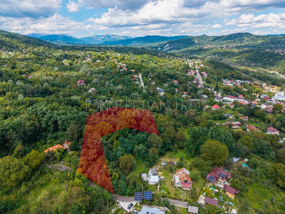 Teren 3.886 mp, Breaza - Podu Vadului, 30 m deschidere la asfalt – fotografia 1 din 16