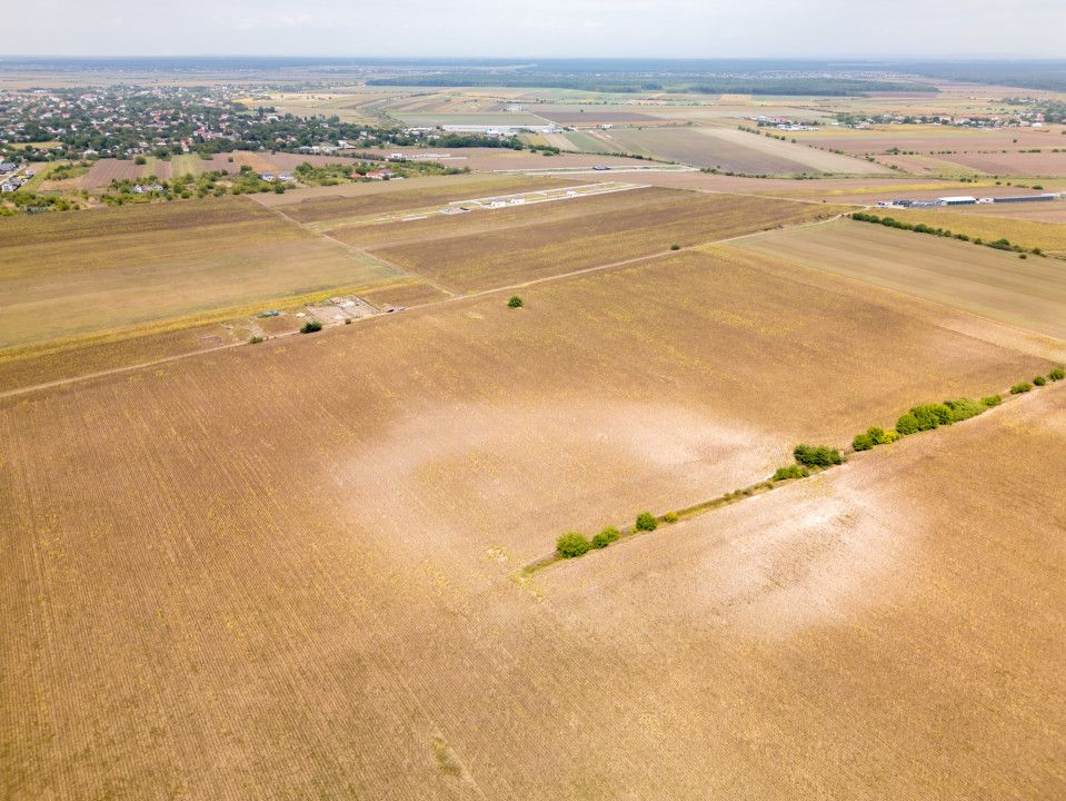 DASCALU – TEREN INTRAVILAN 11300 MP, INVESTITIE! – fotografia 9 din 18
