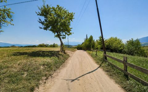 De vânzare teren de 8.544 mp în Poiana Mărului | Teren cu potențial