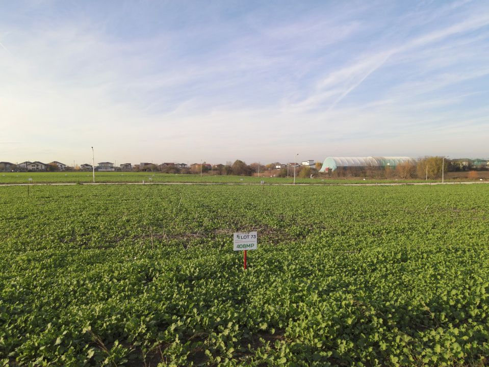Lot 406mp In Rate Com Berceni | utilitati: curent gaz asfalt | #SG1 – fotografia 14 din 17