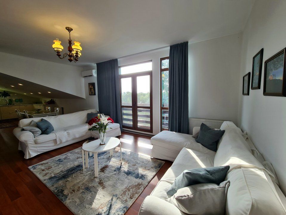 Vila + Afacere 15.000mp Clinceni – fotografia 14 din 31