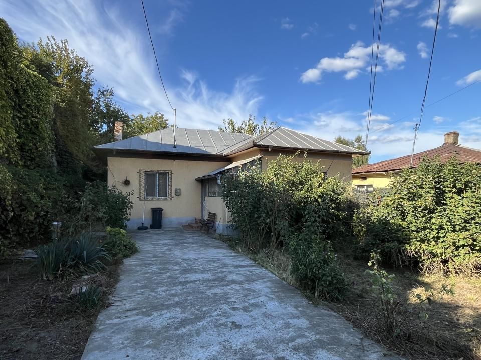 Casa pe parter 3 camere ingrijita curte si gradina Gaesti Nord – fotografia 32 din 35