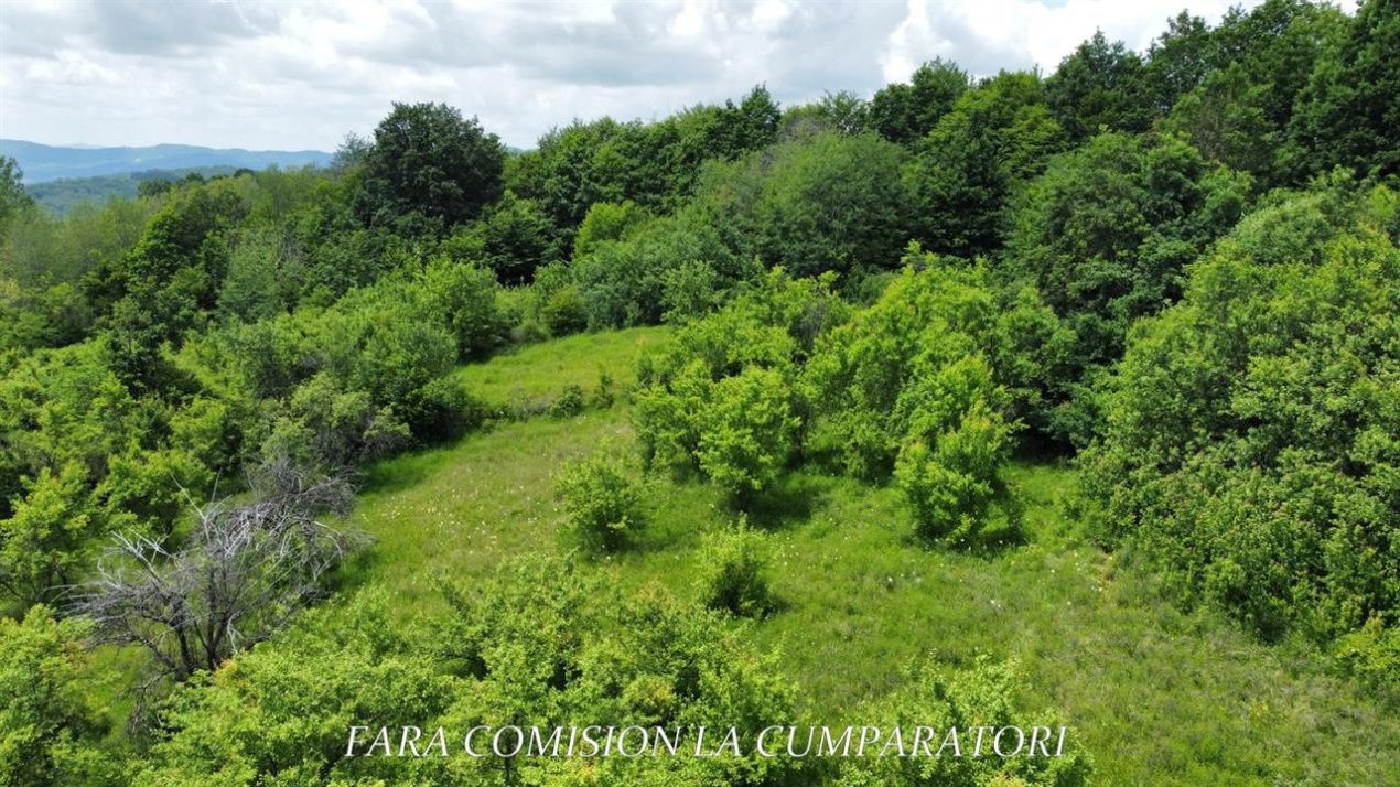 TEREN 19.822 MP CADRU NATURAL MINUNAT – fotografia 8 din 24
