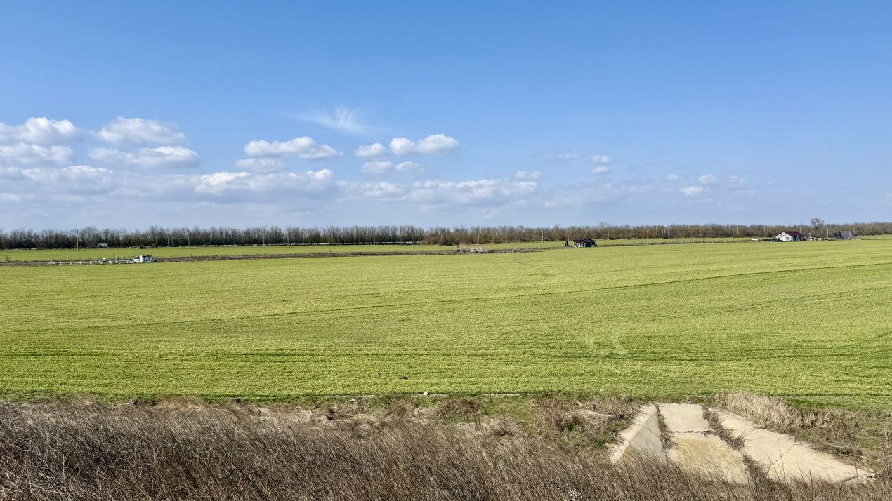 Avans 500 euro - Teren de investitie la Mare! Statiunea Costinesti 444 mp – fotografia 4 din 14