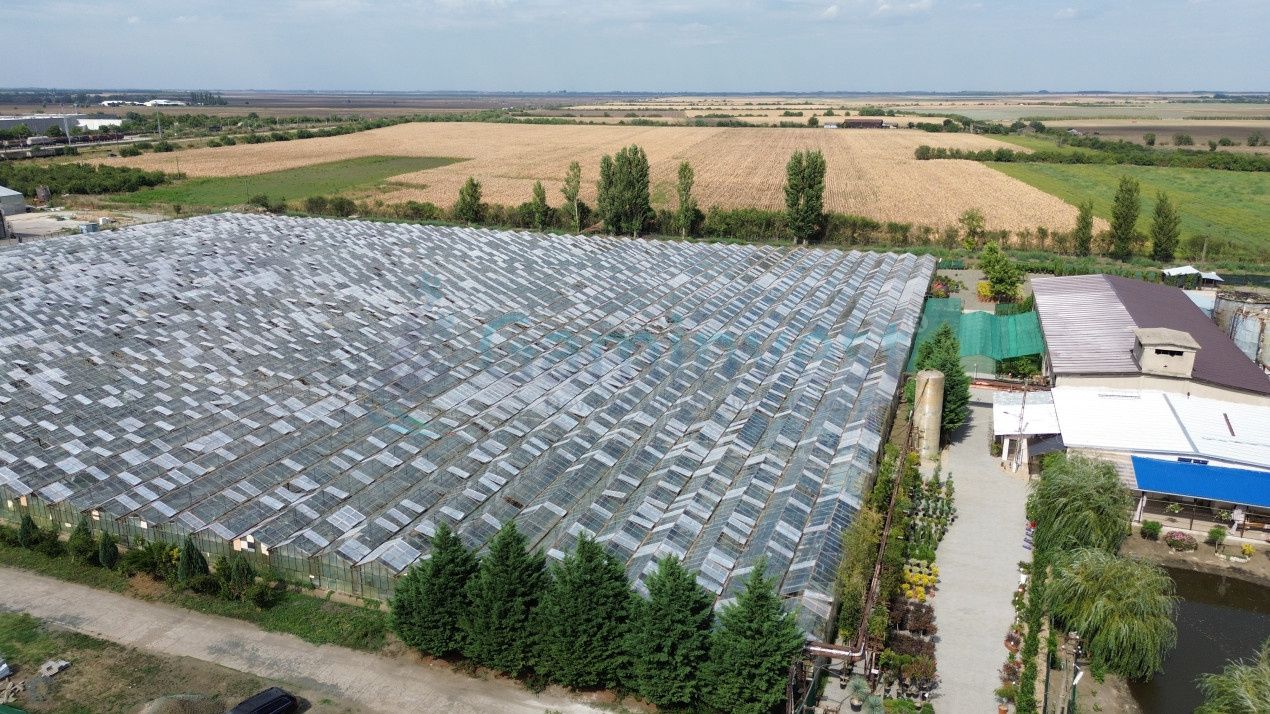 Teren intravilan 8,6 ha cu Sere si afacere horticola in Curtici, județul Arad – fotografia 2 din 5