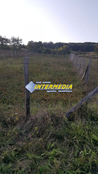Teren Intravilan 700 mp zona Schit -vii – fotografia 6 din 6