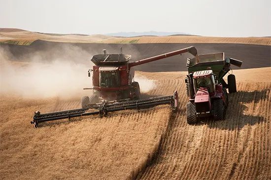 PORTOFOLIU AGRICOL PREMIUM 3.000 HA SUDUL ROMÂNIEI OPORTUNITATE INVESTIȚIONALĂ – fotografia 4 din 9
