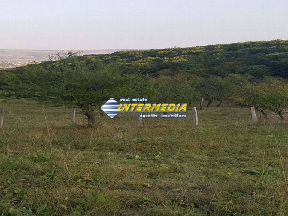 Teren Intravilan 700 mp zona Schit -vii – fotografia 5 din 6