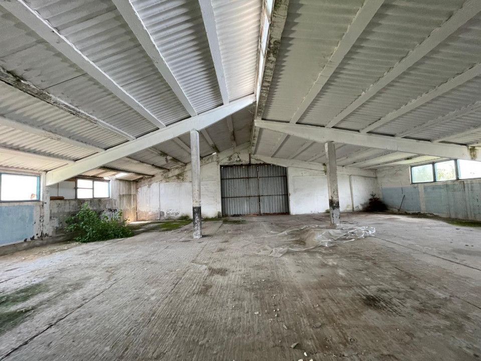 Hală industrială de vânzare în Ovidiu – 1.875 mp hală, teren 3.000 mp – fotografia 10 din 31