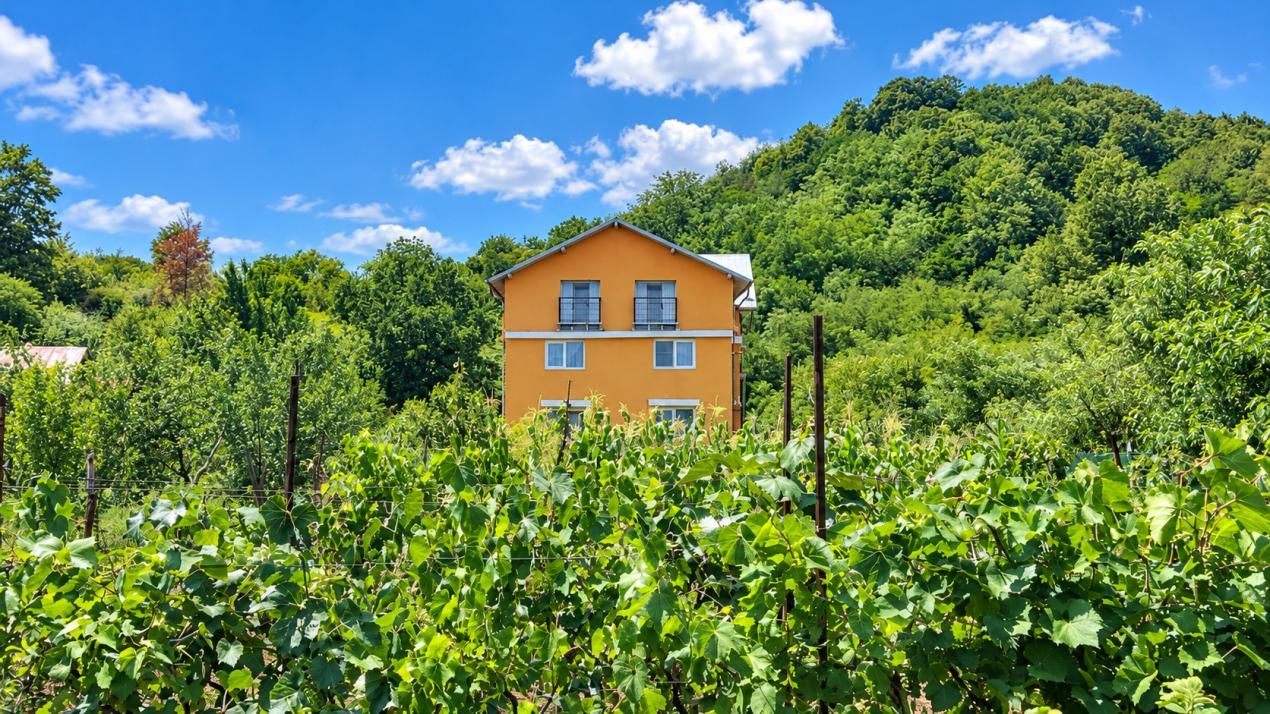VAND O VILA IN PADUREA DIN FILIPESTI – fotografia 15 din 28