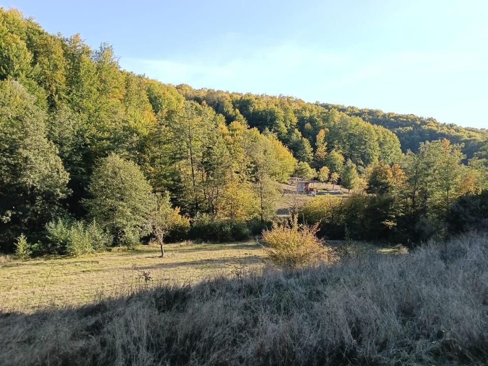 TERENUL PE CARE NU-L CAUȚI… DAR CÂND ÎL VEZI, ÎL VREI! – fotografia 9 din 12