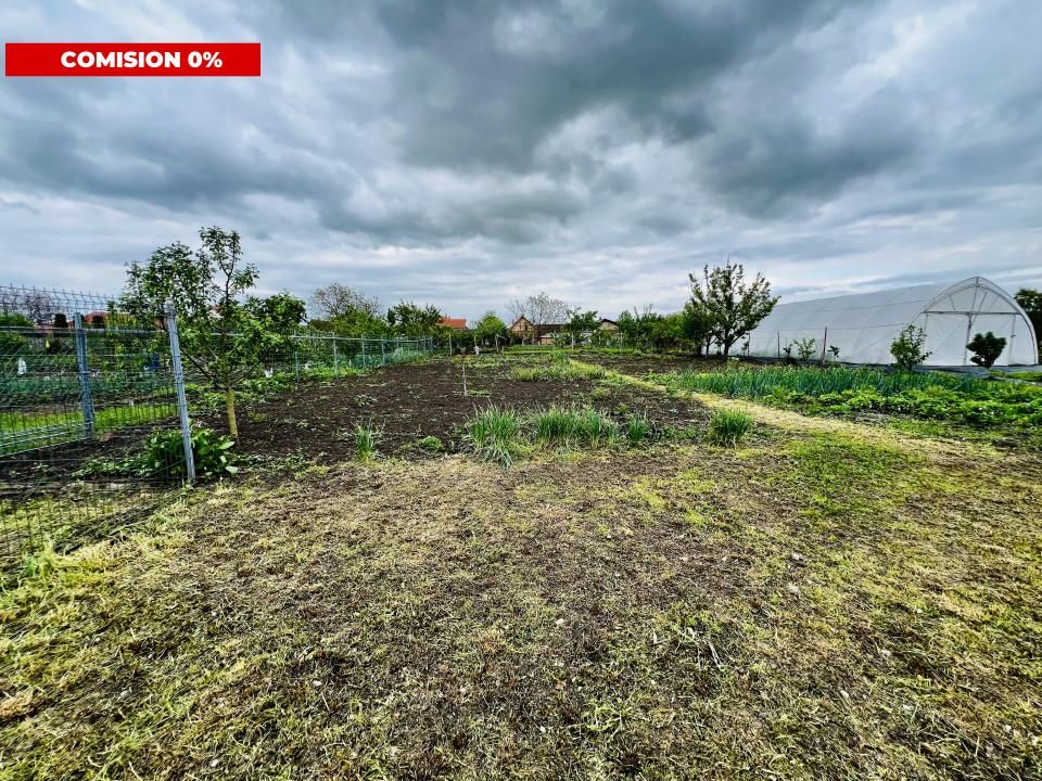 Casa Individuala, 6 camere, teren 1735 mp - Liebling,Timis – fotografia 11 din 11
