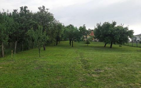 Teren 850mp I Chinteni