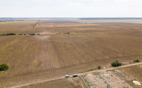 DASCALU – TEREN INTRAVILAN 11300 MP, INVESTITIE!