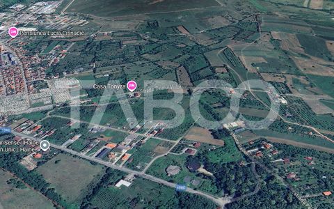 Teren intravilan de 3100mp in zona Tocile Cisnadie Sibiu