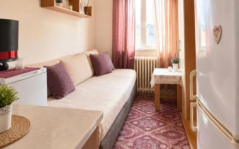 Garsoniera 12 mp, parter, ideala pentru investitie - Calea Sagului