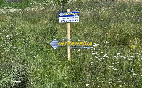 Teren Intravilan I de vanzare I562 mp I Alba Iulia I zona Micesti I