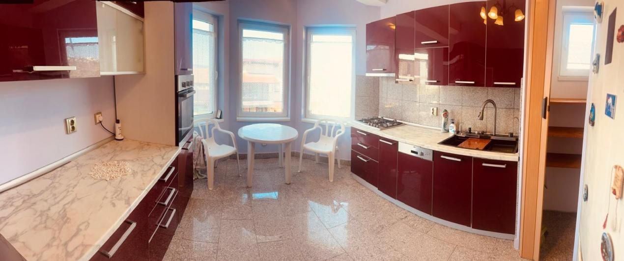 Casa cu garaj de închiriat, Manastur, Campului – fotografia 4 din 8
