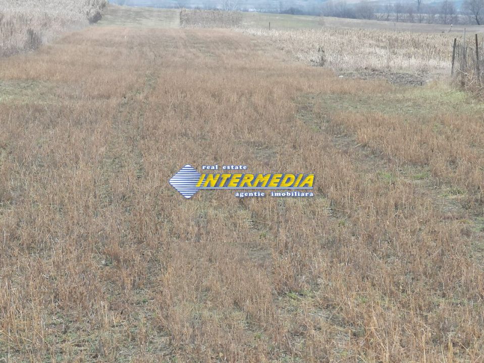 Teren intravilan 4200 mp de vanzare Alba Micesti cu utiliati langa – fotografia 3 din 3