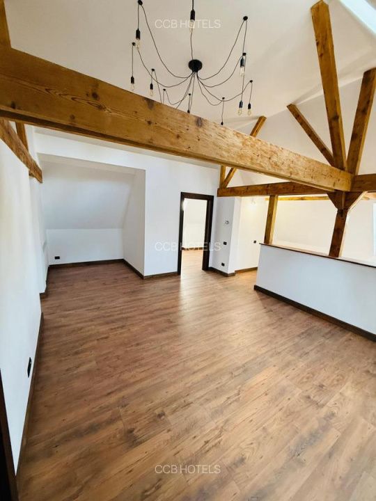 AP12 – Apartament de vacanță -Vilă istorică Neo-Românească – Predeal – fotografia 5 din 9
