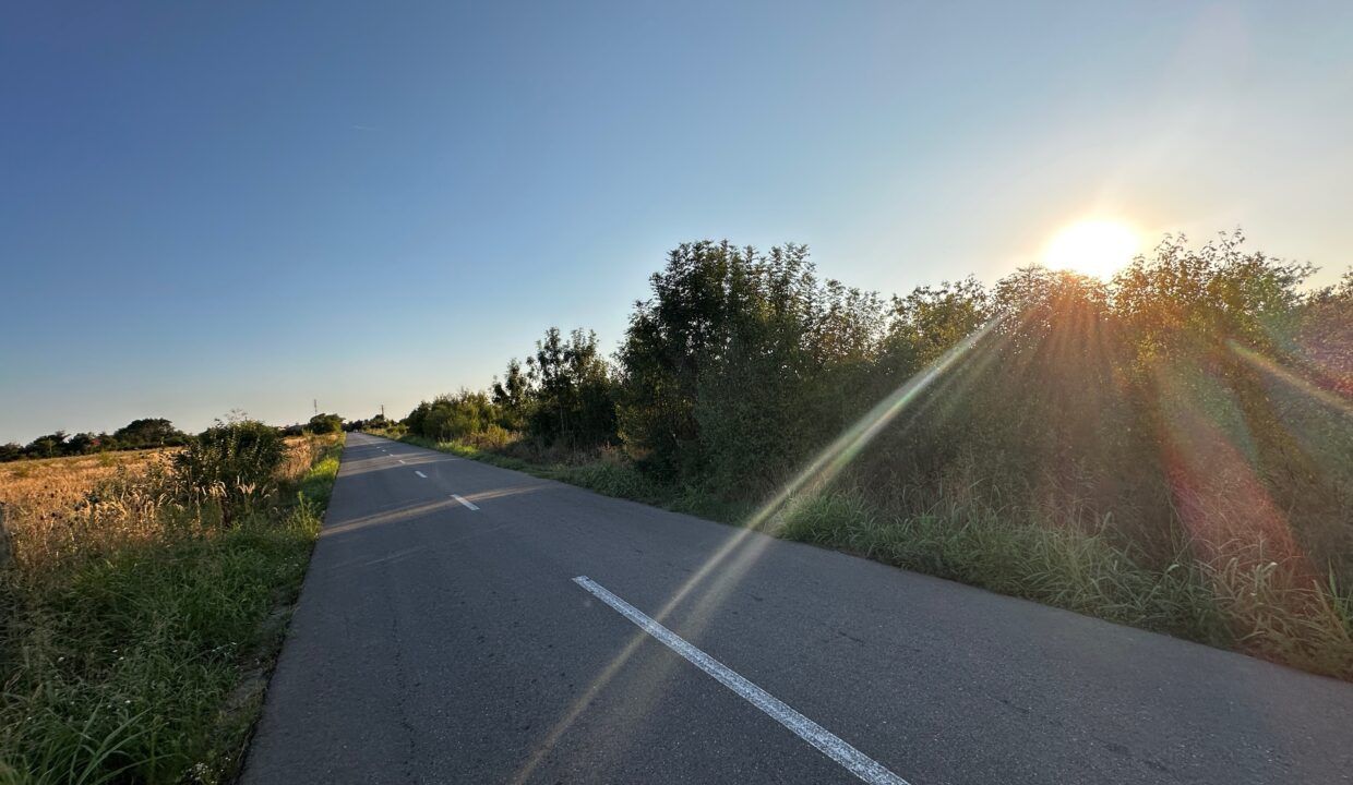 Teren 6700 mp Olteni, jud. Dâmbovița – la doar 900 m de Autostrada A1 (km 63) – fotografia 3 din 5